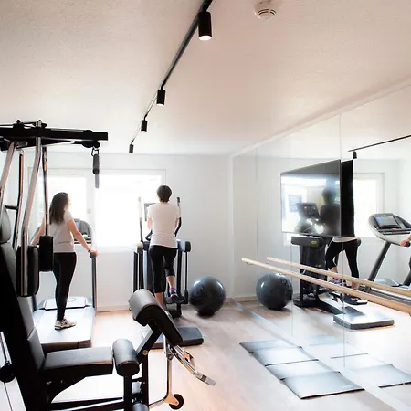 Ibis Metz Nord 3* Woippy